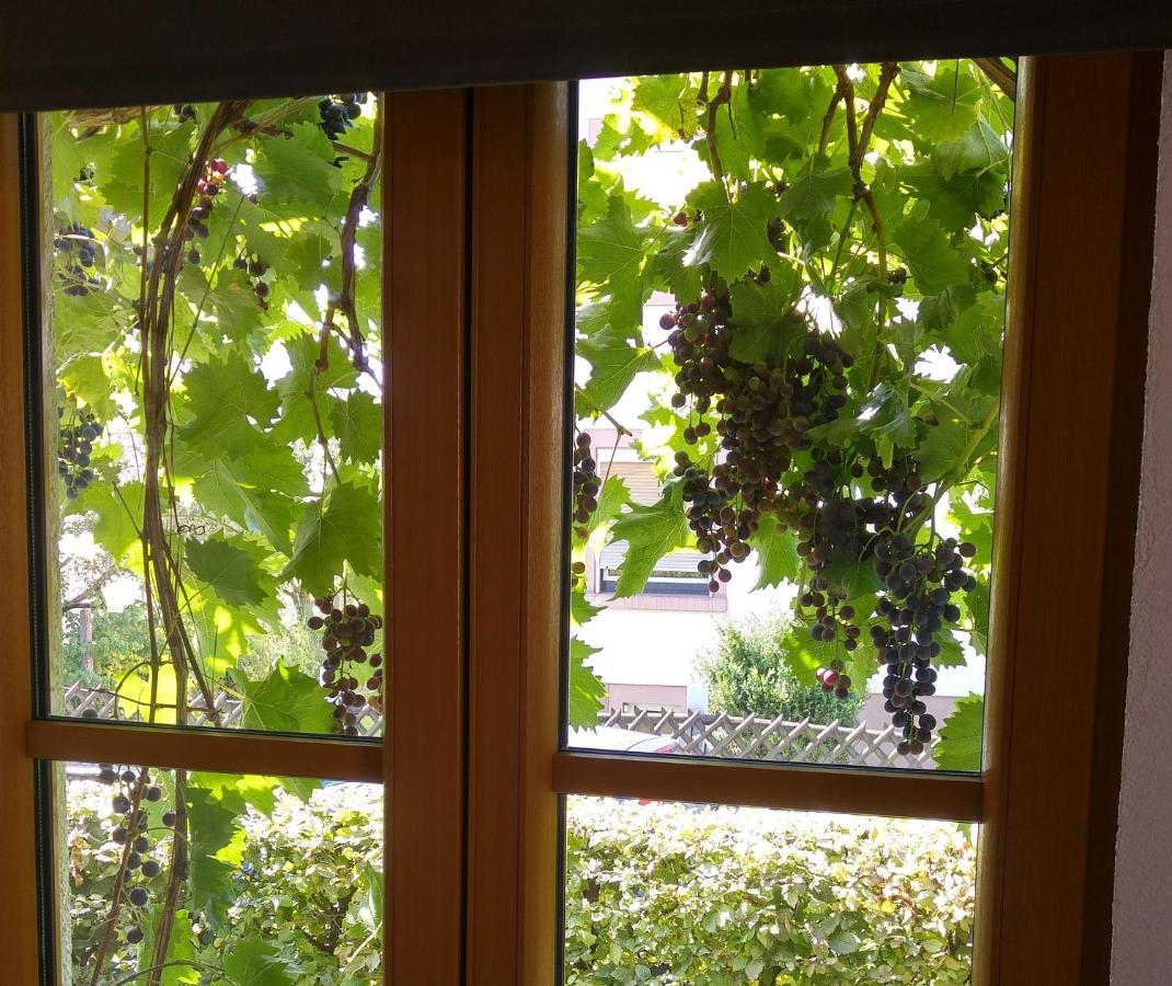 Ferienwohnung Strata Montana Bensheim Luaran gambar